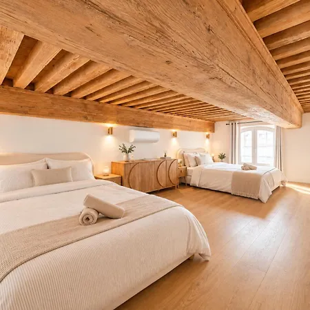 Loft - Bellecour 10 Couchages